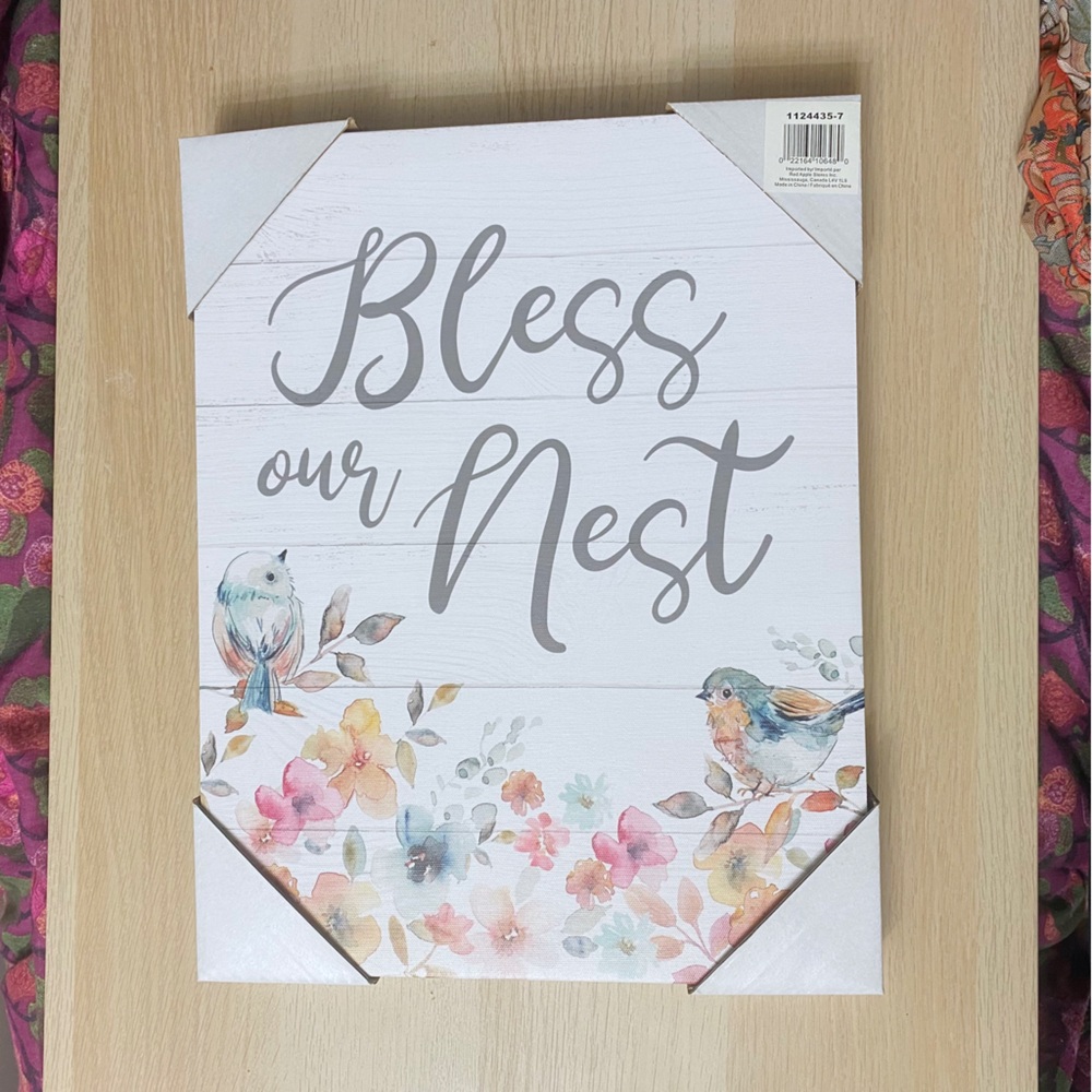 Bless Our Nest Canvas Wall Art Home Decor Birds Watercolor Farmhouse Spring New